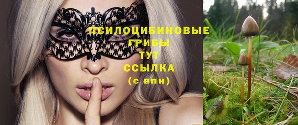 героин Бикин