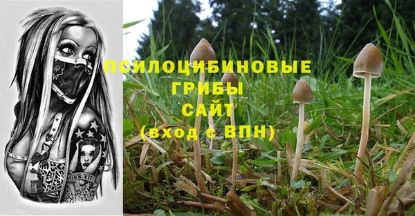 соль курить ск Болхов
