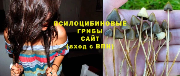 синтетический гашиш Нязепетровск