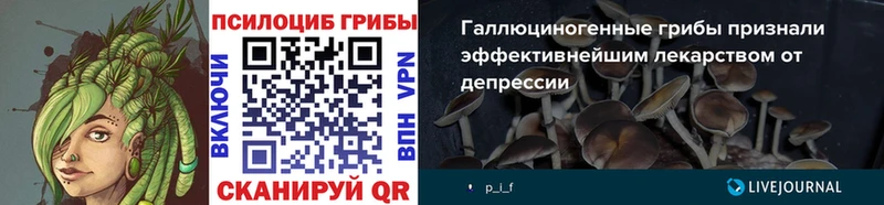 дарнет шоп  Боготол  Галлюциногенные грибы ЛСД 