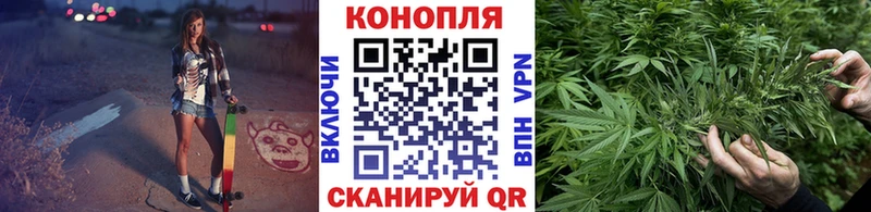 Канабис семена  мега зеркало  Боготол 